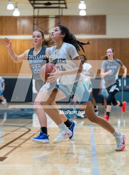 Thumbnail 1 in Los Altos vs. Evergreen Valley (CIF CCS Div 1 Final) photogallery.