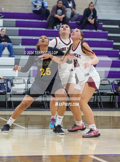Thumbnail 2 in Lone Peak vs. Oak Cliff Faith Family Academy (Lehi Holiday Hoopfest) photogallery.
