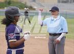 Photo from the gallery "Morse @ Point Loma"