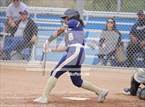 Photo from the gallery "Morse @ Point Loma"