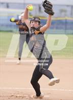 Photo from the gallery "Morse @ Point Loma"