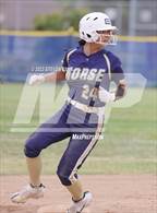 Photo from the gallery "Morse @ Point Loma"