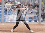 Photo from the gallery "Morse @ Point Loma"