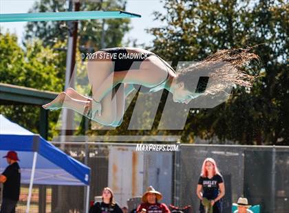 Thumbnail 1 in AIA Division I,III Diving Semifinals photogallery.