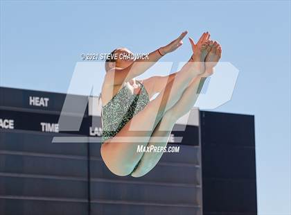 Thumbnail 1 in AIA Division I,III Diving Semifinals photogallery.