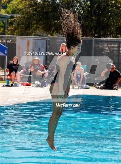 Thumbnail 2 in AIA Division I,III Diving Semifinals photogallery.