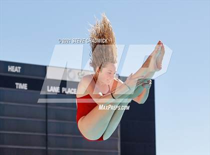 Thumbnail 3 in AIA Division I,III Diving Semifinals photogallery.