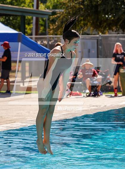 Thumbnail 3 in AIA Division I,III Diving Semifinals photogallery.