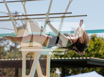 Thumbnail 3 in AIA Division I,III Diving Semifinals photogallery.