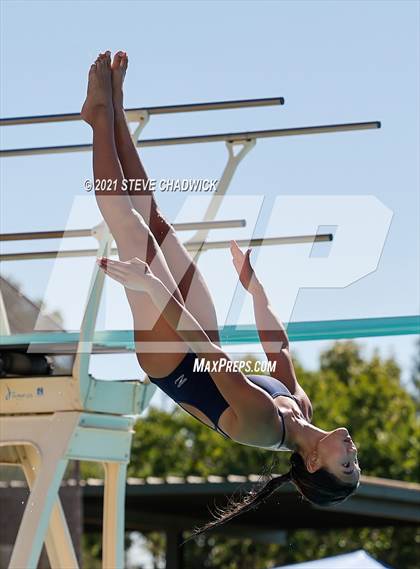 Thumbnail 3 in AIA Division I,III Diving Semifinals photogallery.