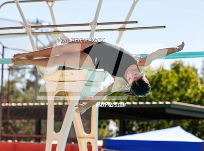 Thumbnail 3 in AIA Division I,III Diving Semifinals photogallery.
