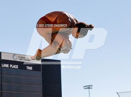 Thumbnail 3 in AIA Division I,III Diving Semifinals photogallery.