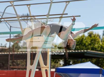 Thumbnail 3 in AIA Division I,III Diving Semifinals photogallery.
