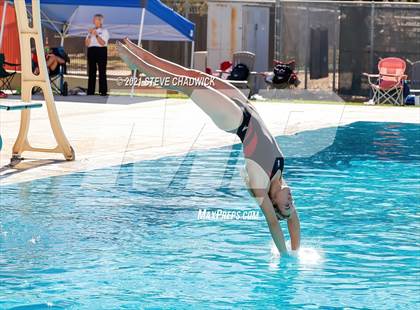 Thumbnail 2 in AIA Division I,III Diving Semifinals photogallery.