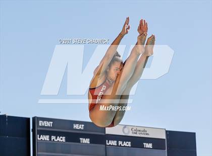 Thumbnail 3 in AIA Division I,III Diving Semifinals photogallery.