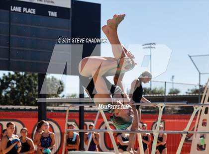 Thumbnail 3 in AIA Division I,III Diving Semifinals photogallery.