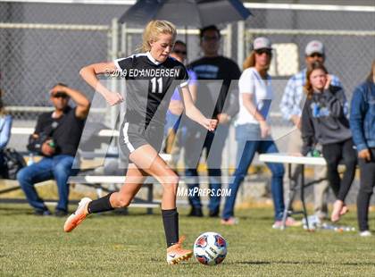 Thumbnail 2 in Spring Creek vs North Tahoe (NIAA 3A Northern Region Playoff) photogallery.