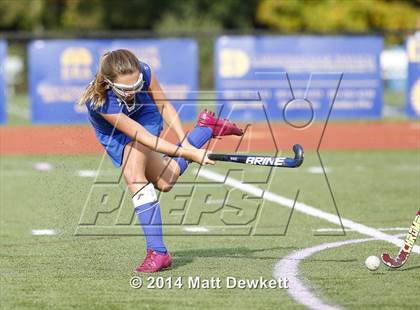 Thumbnail 1 in Shepaug Valley @ Brookfield photogallery.