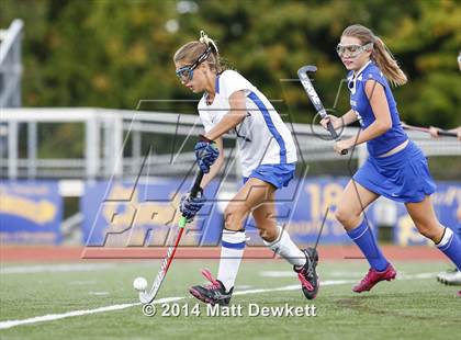 Thumbnail 1 in Shepaug Valley @ Brookfield photogallery.