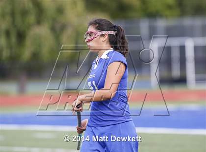 Thumbnail 1 in Shepaug Valley @ Brookfield photogallery.