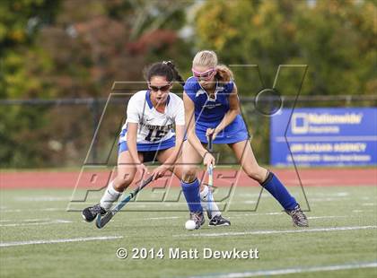 Thumbnail 3 in Shepaug Valley @ Brookfield photogallery.
