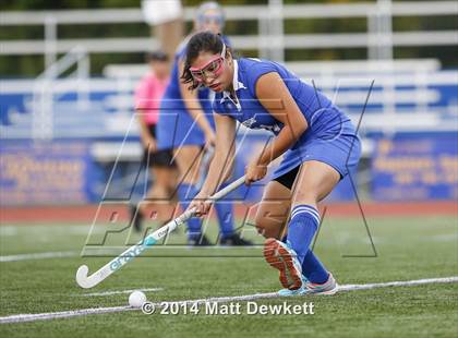 Thumbnail 3 in Shepaug Valley @ Brookfield photogallery.