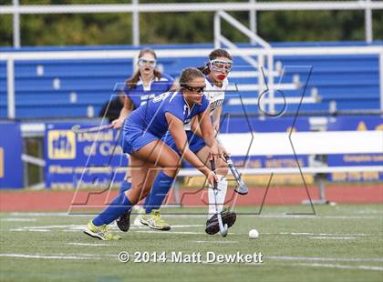 Thumbnail 2 in Shepaug Valley @ Brookfield photogallery.