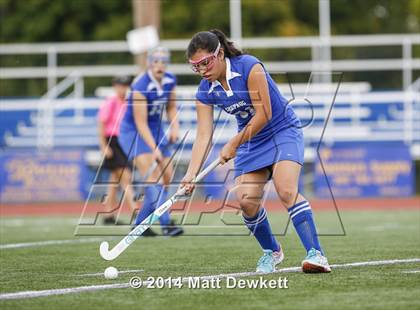 Thumbnail 2 in Shepaug Valley @ Brookfield photogallery.