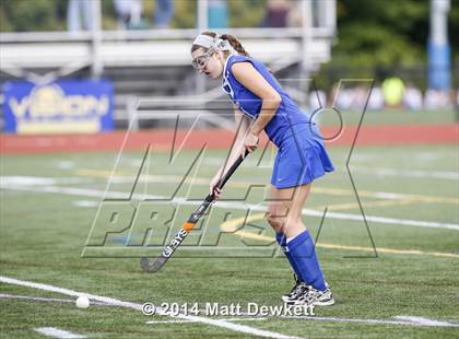 Thumbnail 3 in Shepaug Valley @ Brookfield photogallery.