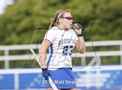 Thumbnail 1 in Shepaug Valley @ Brookfield photogallery.