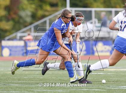 Thumbnail 3 in Shepaug Valley @ Brookfield photogallery.