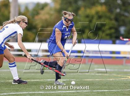 Thumbnail 1 in Shepaug Valley @ Brookfield photogallery.