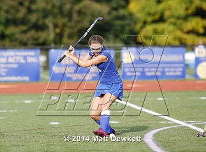 Thumbnail 3 in Shepaug Valley @ Brookfield photogallery.