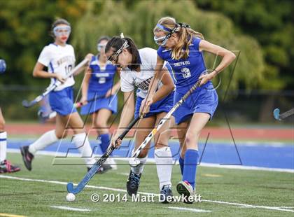 Thumbnail 2 in Shepaug Valley @ Brookfield photogallery.