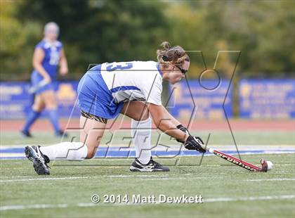 Thumbnail 3 in Shepaug Valley @ Brookfield photogallery.