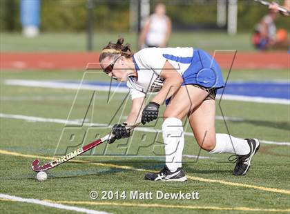 Thumbnail 3 in Shepaug Valley @ Brookfield photogallery.