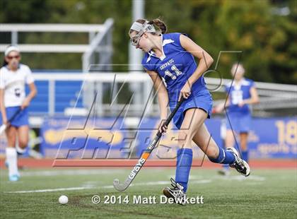 Thumbnail 2 in Shepaug Valley @ Brookfield photogallery.