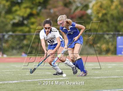 Thumbnail 1 in Shepaug Valley @ Brookfield photogallery.