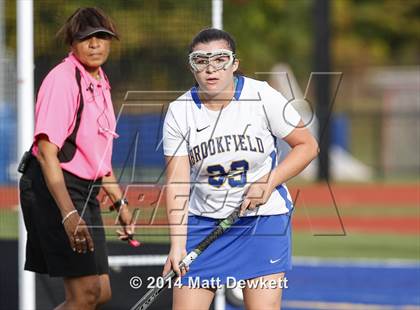 Thumbnail 3 in Shepaug Valley @ Brookfield photogallery.