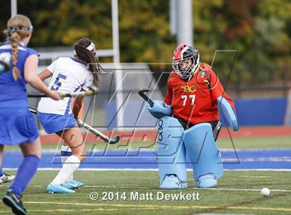 Thumbnail 1 in Shepaug Valley @ Brookfield photogallery.