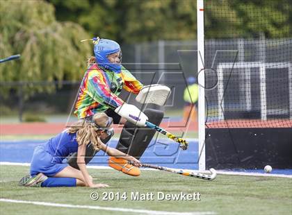 Thumbnail 3 in Shepaug Valley @ Brookfield photogallery.