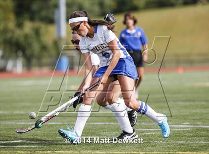 Thumbnail 1 in Shepaug Valley @ Brookfield photogallery.