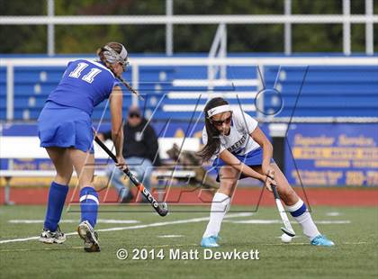 Thumbnail 3 in Shepaug Valley @ Brookfield photogallery.