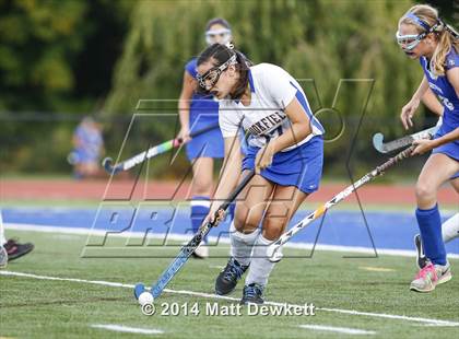 Thumbnail 1 in Shepaug Valley @ Brookfield photogallery.