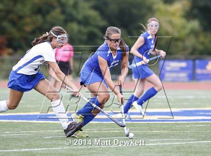 Thumbnail 3 in Shepaug Valley @ Brookfield photogallery.