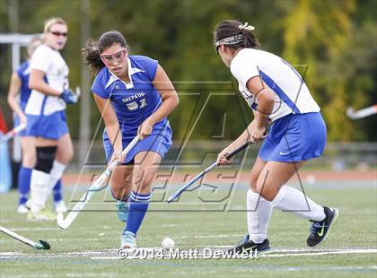 Thumbnail 1 in Shepaug Valley @ Brookfield photogallery.