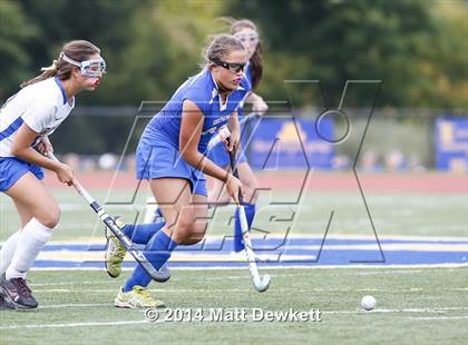 Thumbnail 1 in Shepaug Valley @ Brookfield photogallery.
