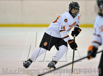 Thumbnail 2 in White Plains vs. Harvey (Tiger Tournament) photogallery.