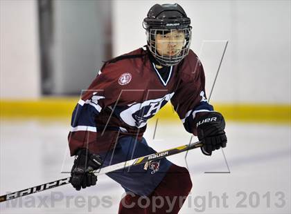 Thumbnail 1 in White Plains vs. Harvey (Tiger Tournament) photogallery.