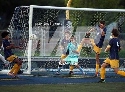 Thumbnail 3 in Eagle @ Meridian photogallery.